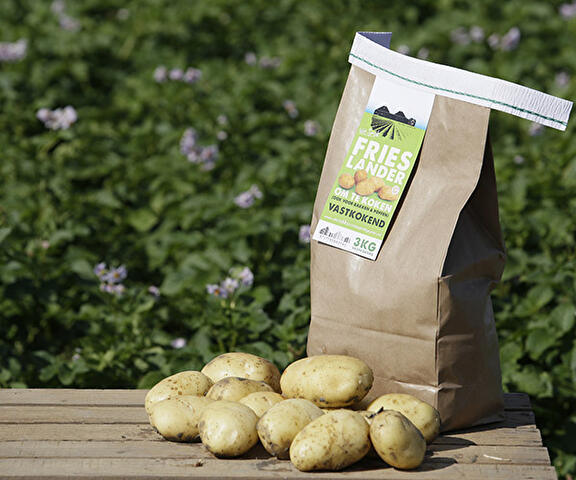 Frieslander